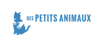 Clinique Vet