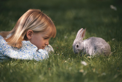 Article de blogue La stérilisation, c'est aussi pour les lapins!