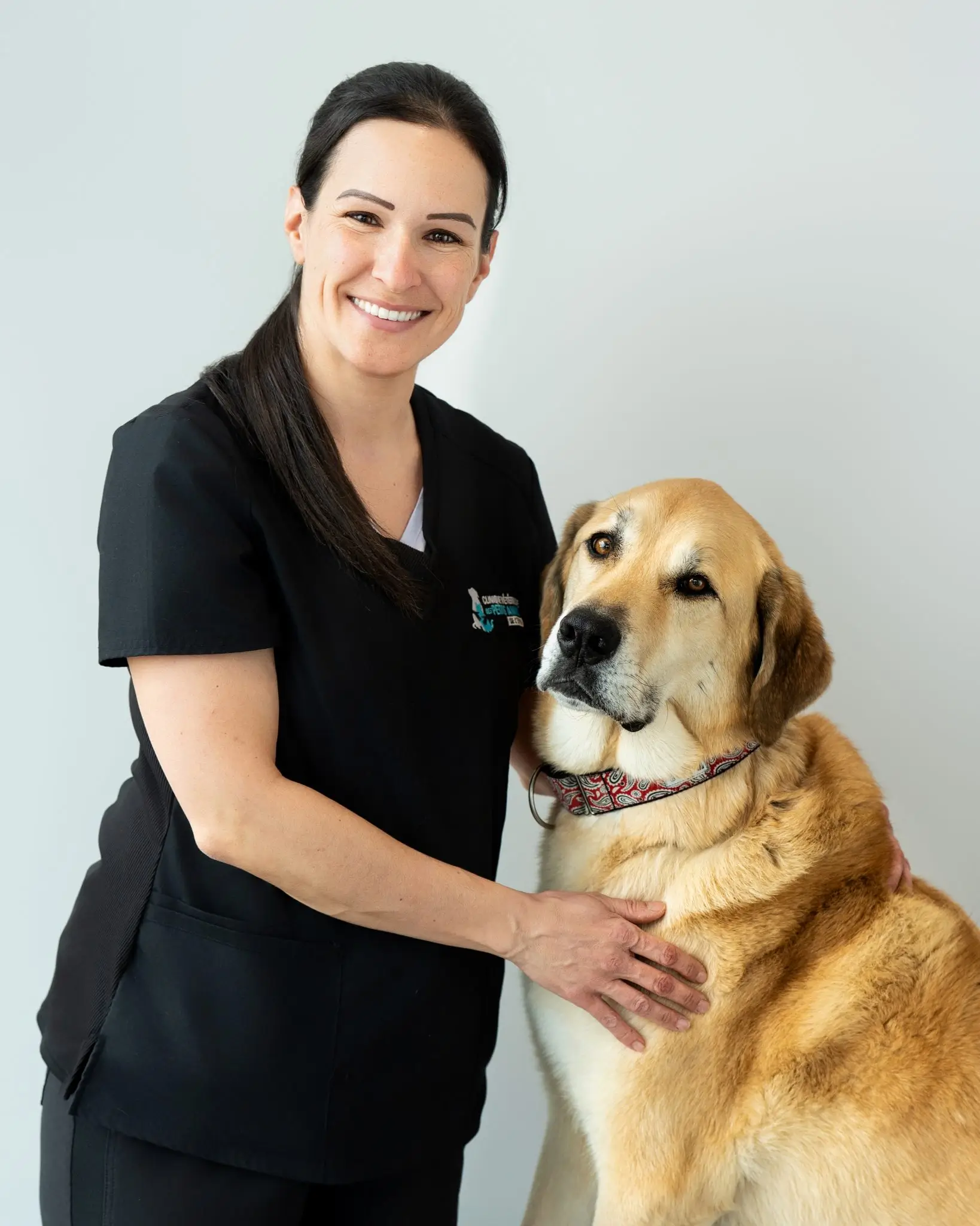 CV 004 2 1638x2048 1