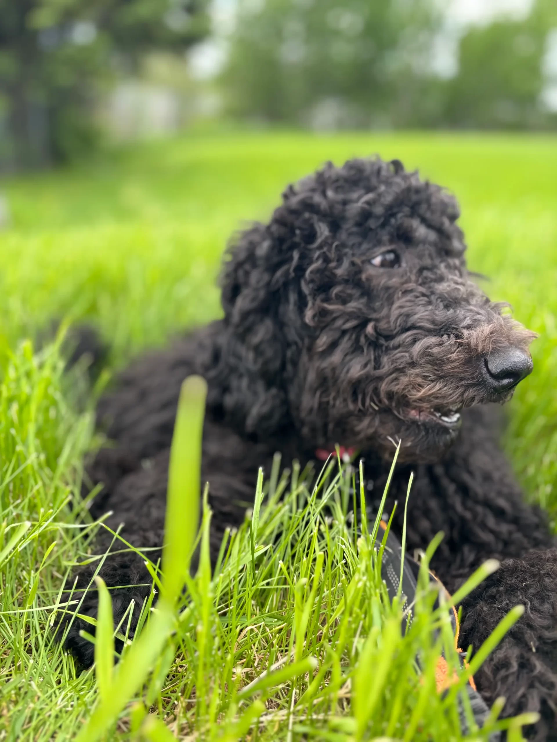 IMG 1612 scaled